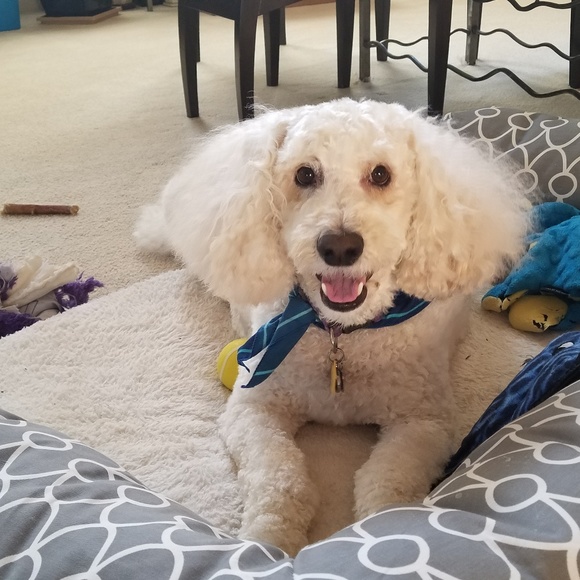 CHANCEY WOW!! 30LBS Weight Loss Time For A Trim❤❤ - Picture 3 of 7